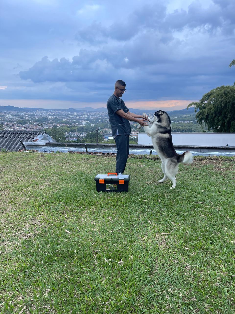 Andrés Gil atendiendo un perro a domicilio
